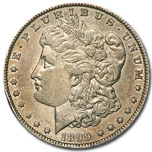 1899 Morgan Dollar XF Details (Cleaned) 1899 Morgan Dollar XF Details (Cleaned)